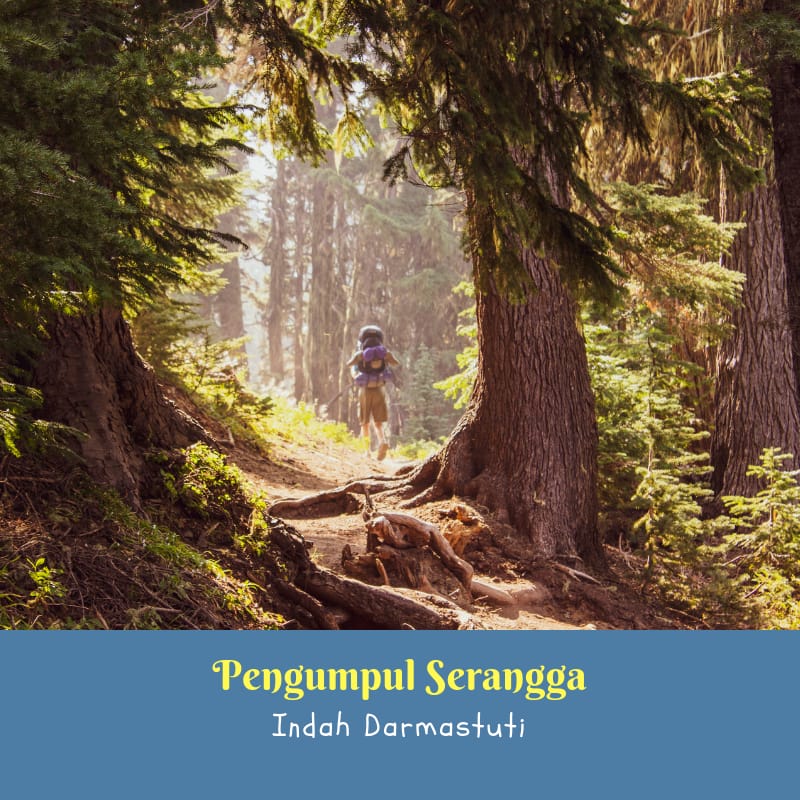 Cerita Anak – Pengumpul Serangga