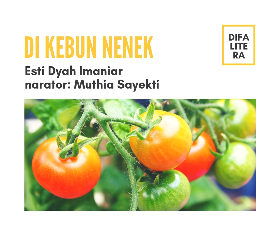 English Lesson – Di Kebun Nenek
