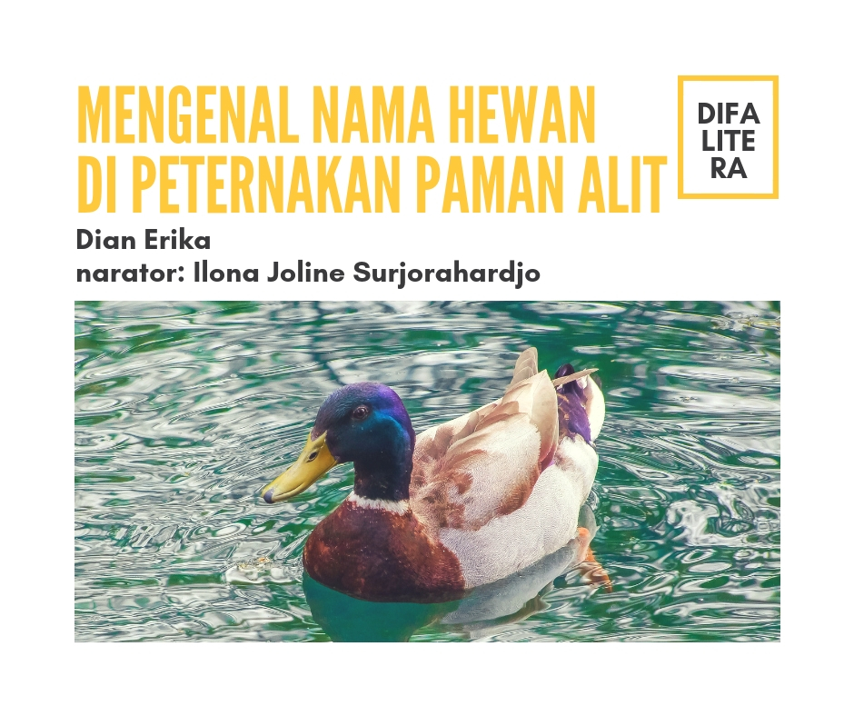 English Lesson – Mengenal Nama Hewan di Peternakan Paman Alit