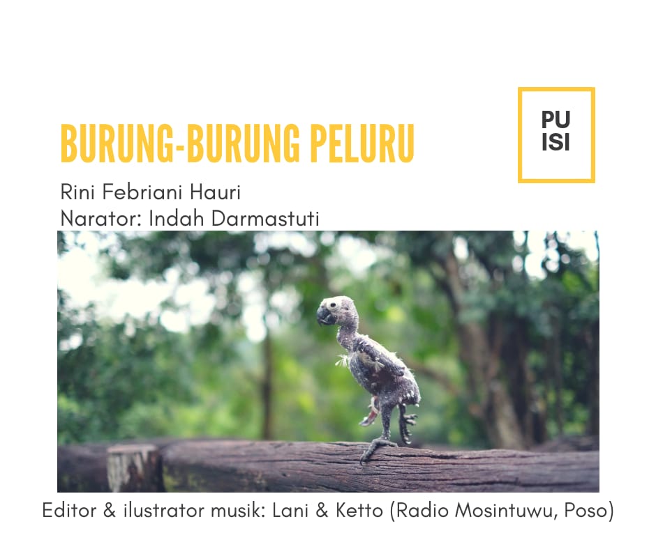 Puisi – Burung-burung Peluru